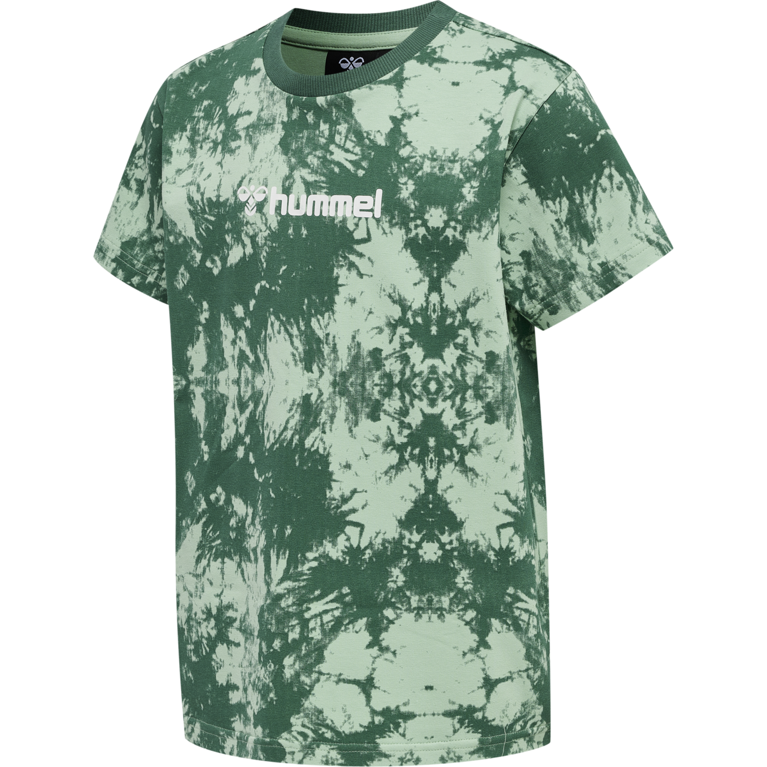 hmlBAY T-SHIRT S/S, SMOKE PINE, packshot