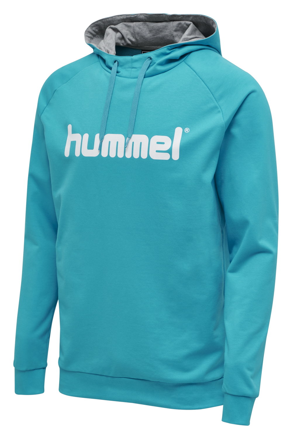 HMLGO COTTON LOGO HOODIE, 7391, packshot