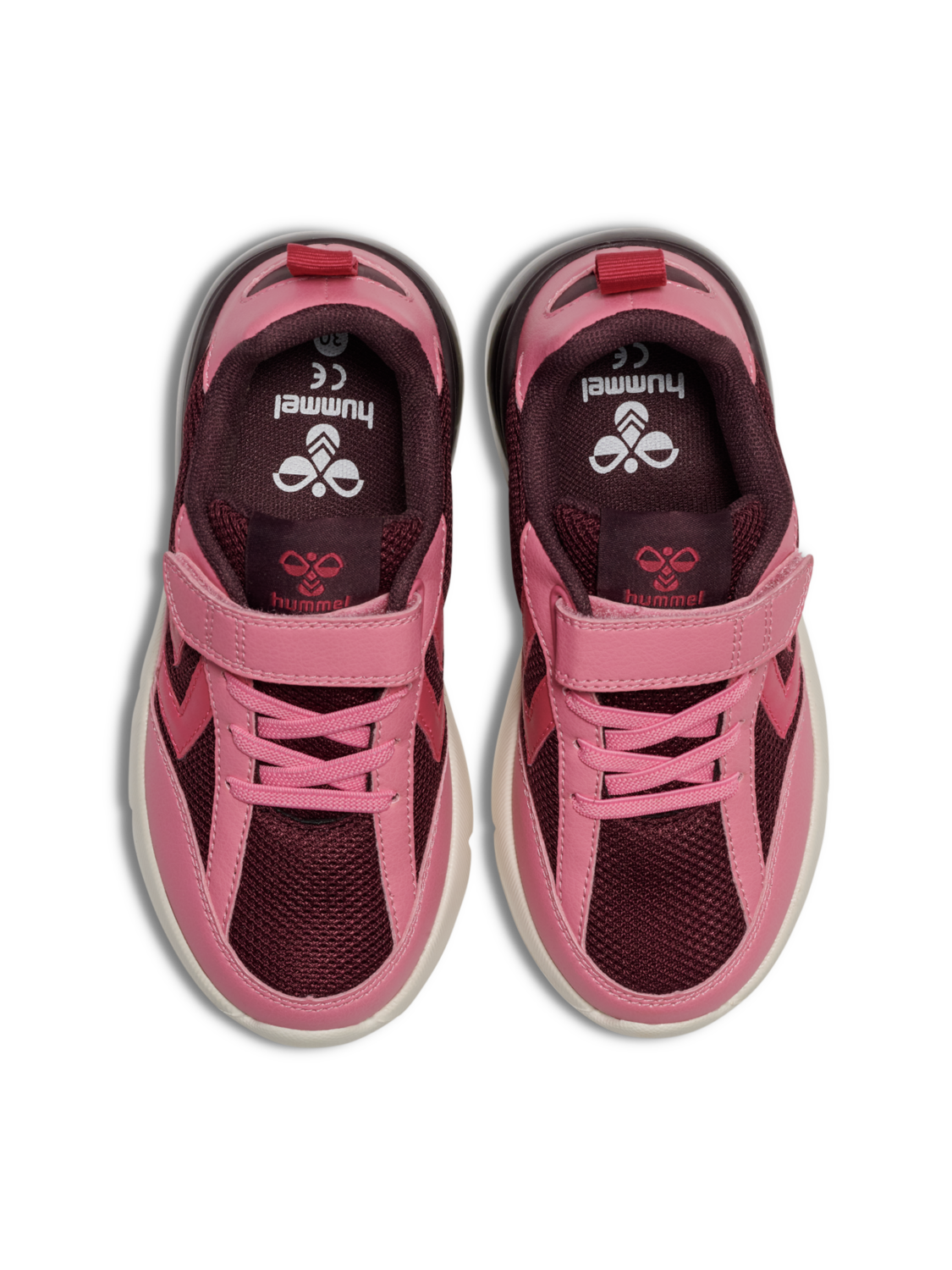 DAYLIGHT JR, WINETASTING, packshot