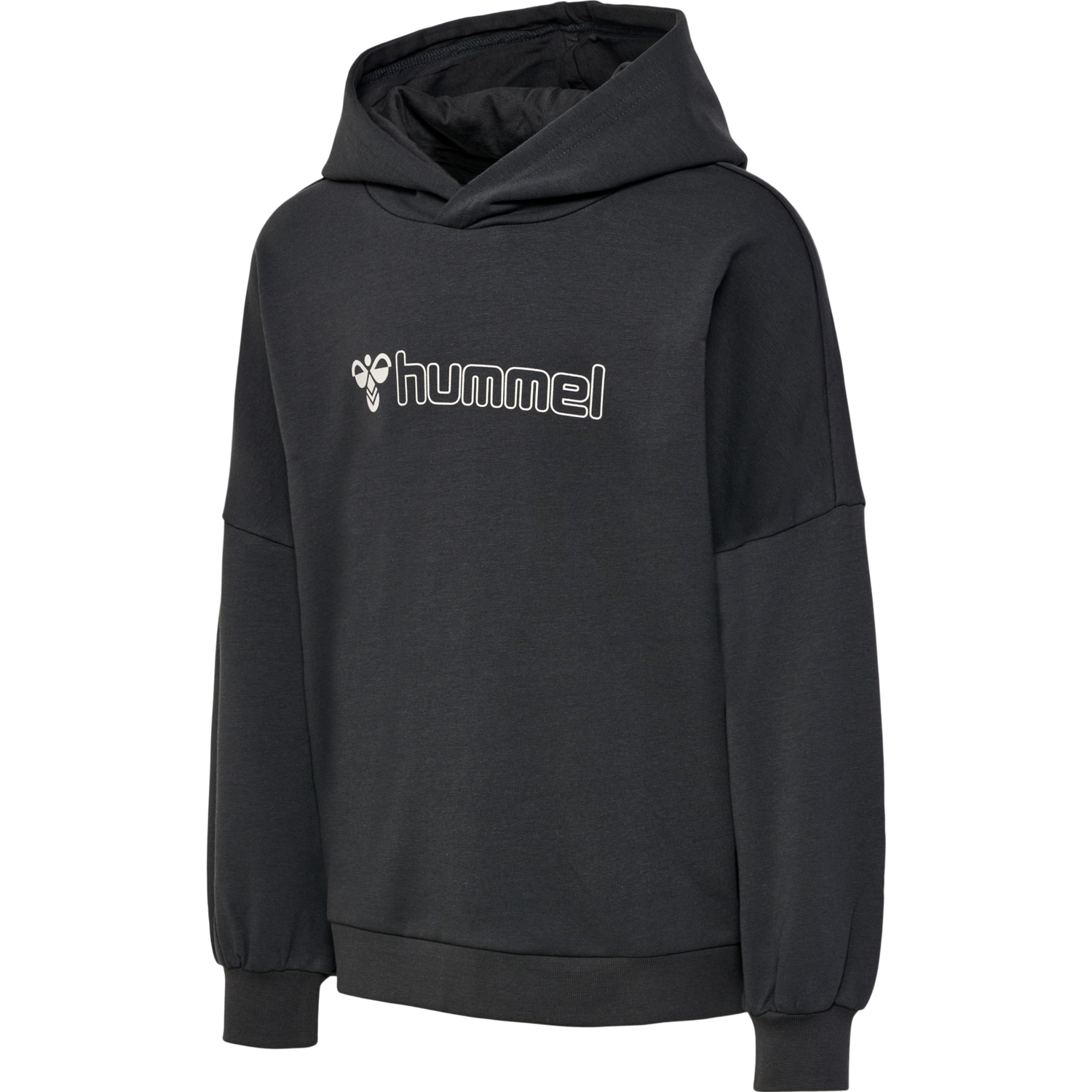 hmlOCTOVA HOODIE, 1525, packshot