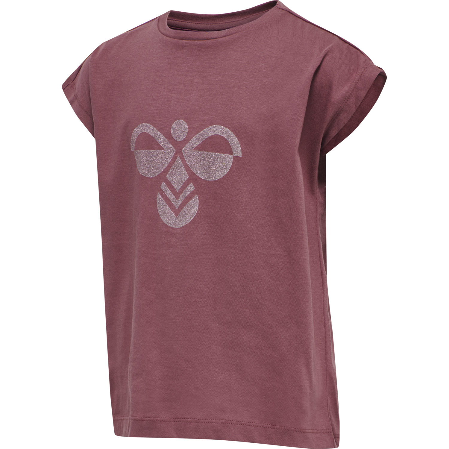 hmlDIEZ T-SHIRT S/S, ROAN ROUGE, packshot