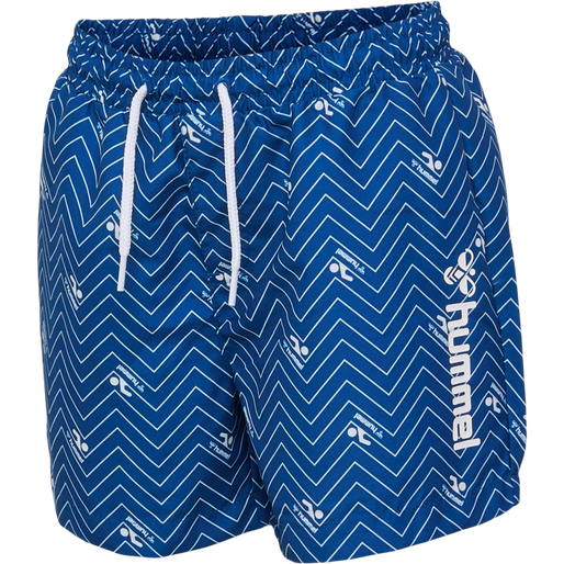 hmlCHILL BOARD SHORTS, NAVY PEONY, packshot