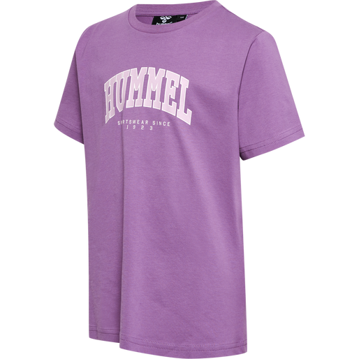 hmlFAST T-SHIRT S/S, ARGYLE PURPLE, packshot