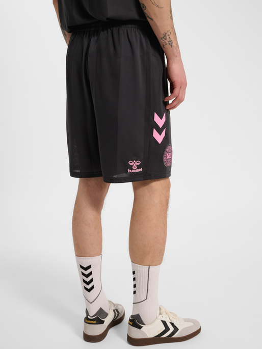 DBU 26 GK SHORTS, ASPHALT, model