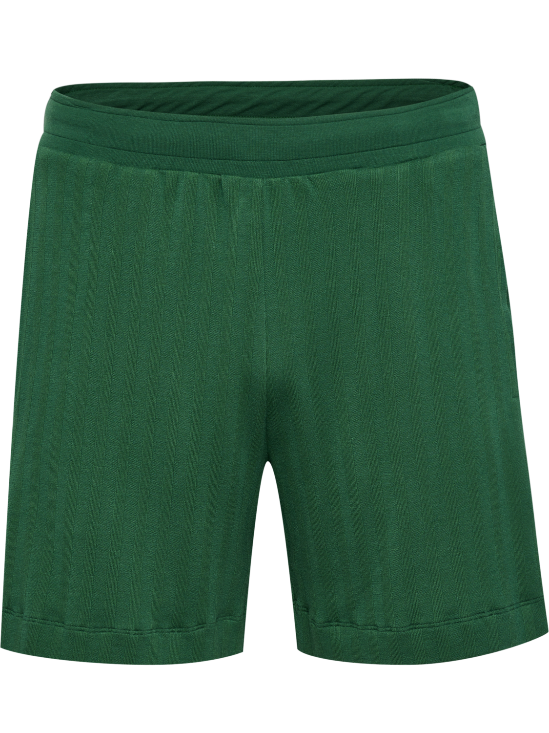 hmlARCHIVE REGULAR SHORTS, EDEN, packshot