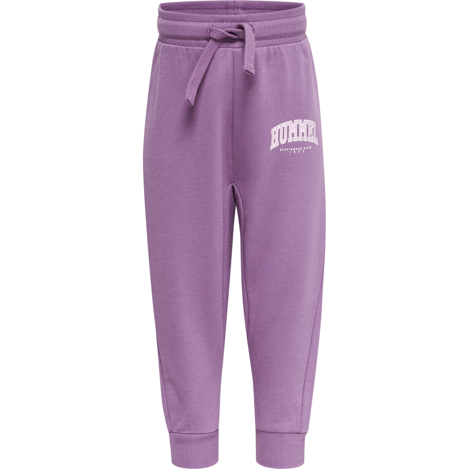 hmlFAST APPLE PANTS, ARGYLE PURPLE, packshot