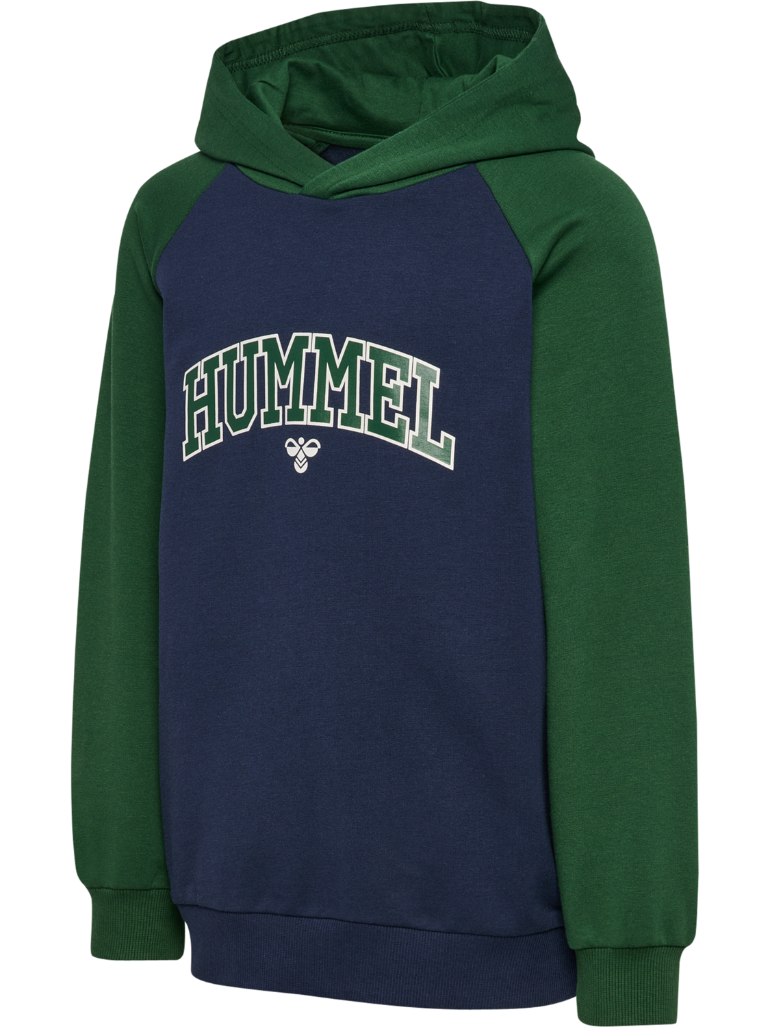 hmlESSEN HOODIE, DRESS BLUES, packshot