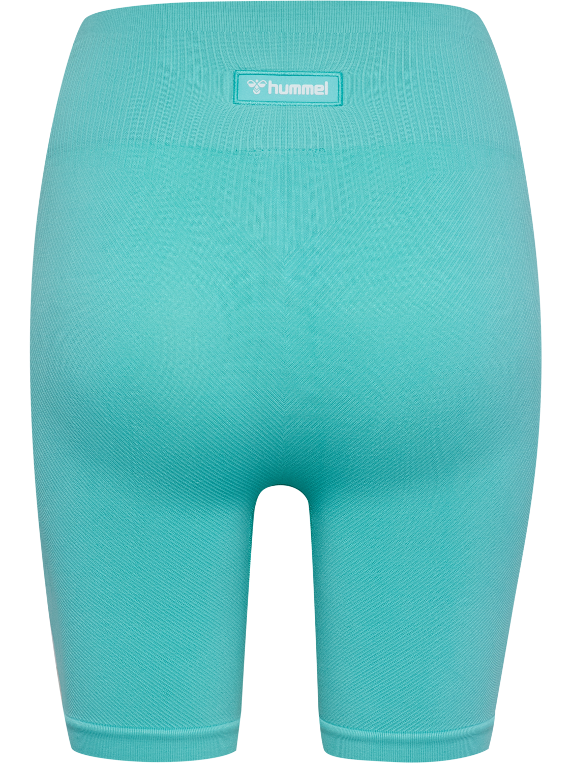 hmlALIVE SEAMLESS HIGH WAIST SHORTS, POOL BLUE, packshot