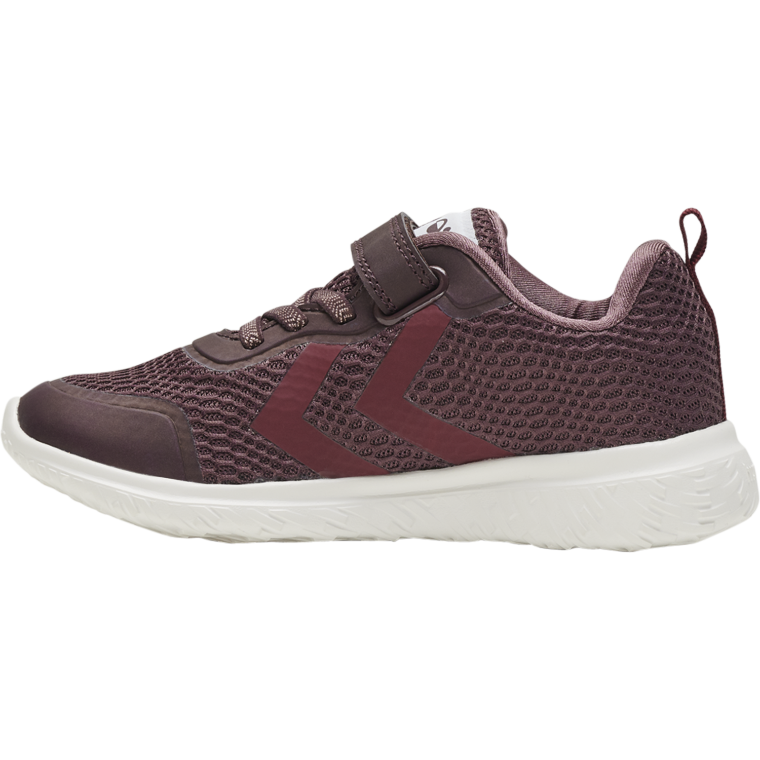 ACTUS TEX JR, FUDGE, packshot