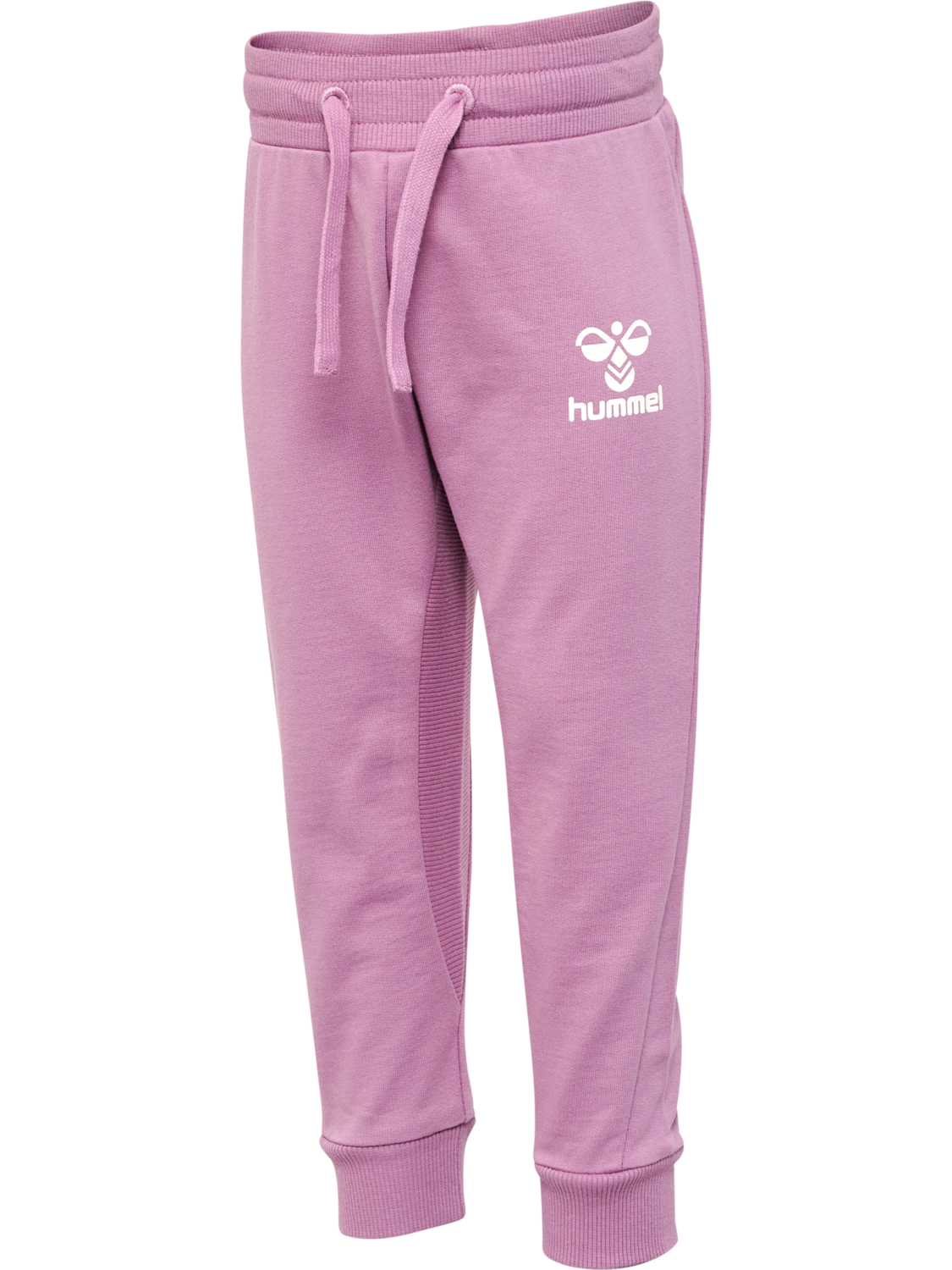 hmlAPPLE PANTS, VALERIAN, packshot