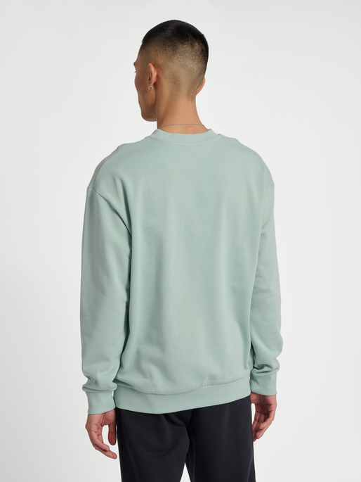 hmlHIVE OWEN SWEATSHIRT, 7119, model