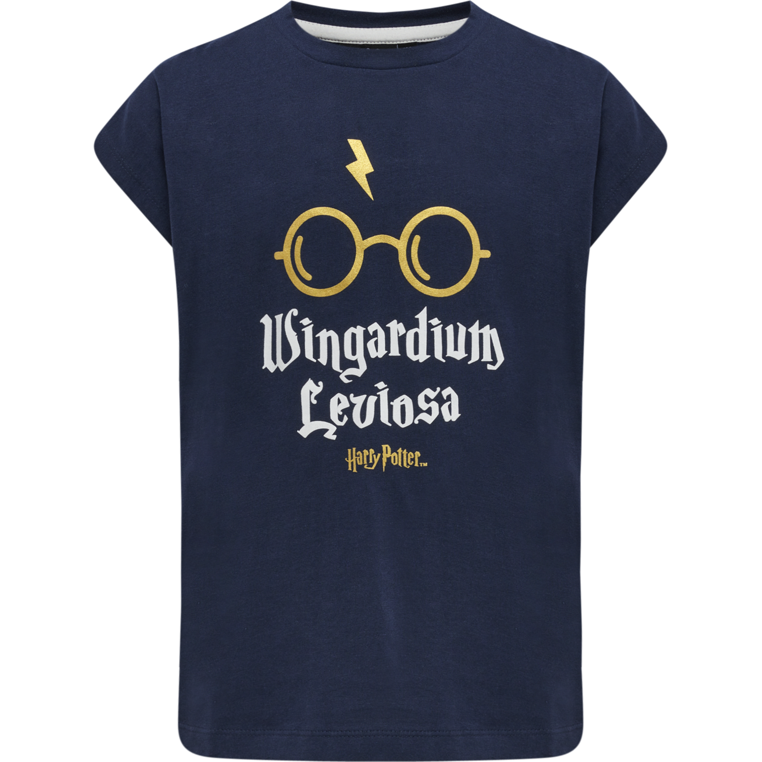 hmlHARRY POTTER DIEZ T-SHIRT S/S, BLACK IRIS, packshot