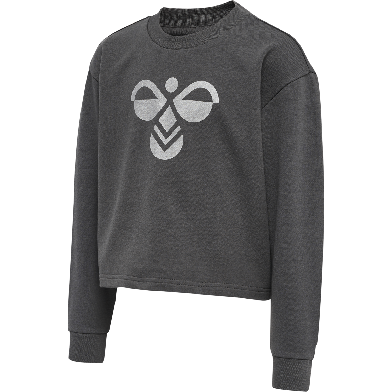 hmlCINCO SWEATSHIRT, IRON GATE, packshot