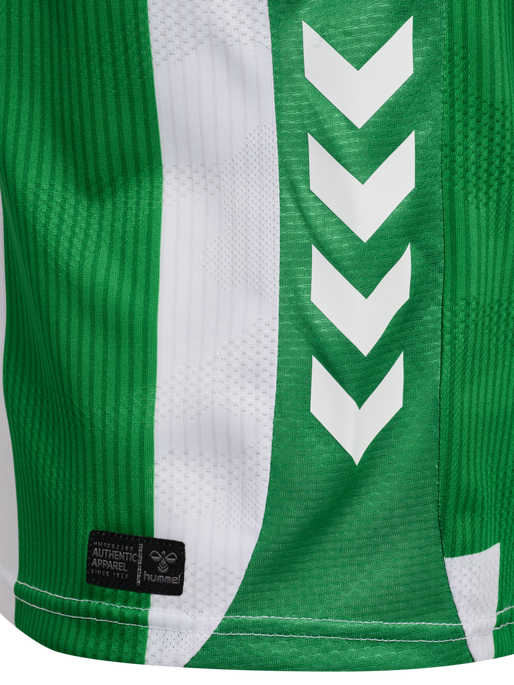 RBB 25/26 HOME JERSEY S/S KIDS, FERN GREEN/WHITE, packshot