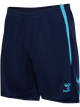 MARINE/BLUE FISH