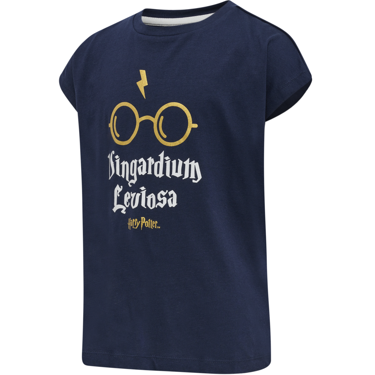 hmlHARRY POTTER DIEZ T-SHIRT S/S, BLACK IRIS, packshot