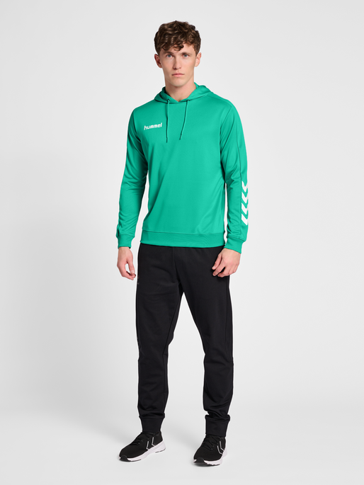 hmlPROMO POLY HOODIE, ATLANTIS, model