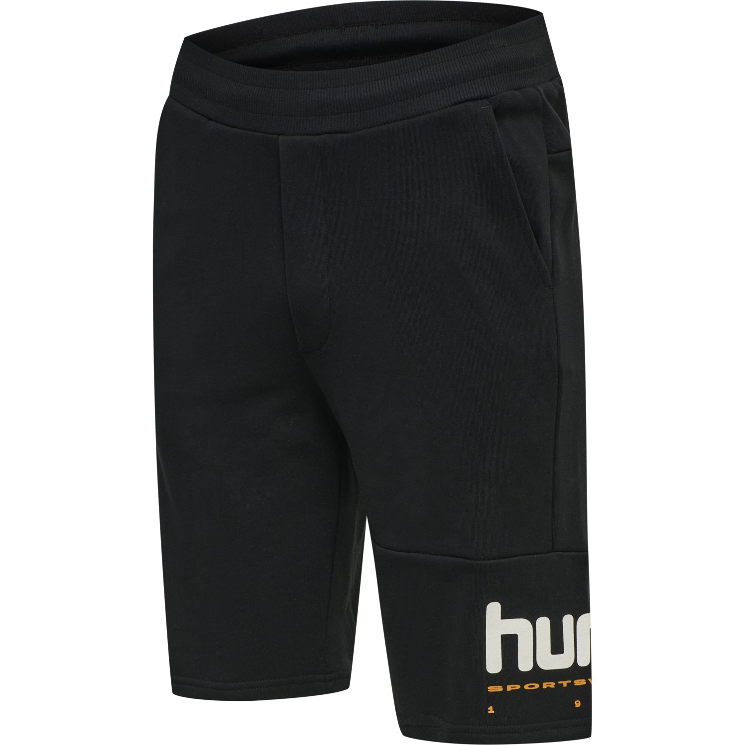 hmlLGC MANFRED SHORTS, 2001, packshot