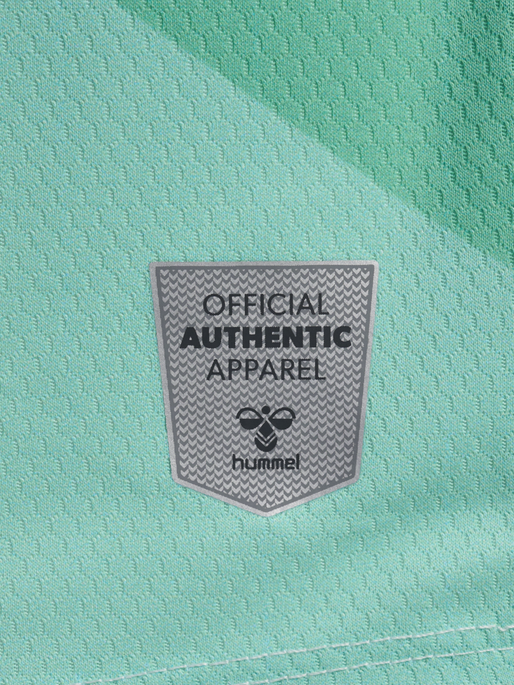 RGB 23/24 3RD JERSEY S/S, 5069, packshot