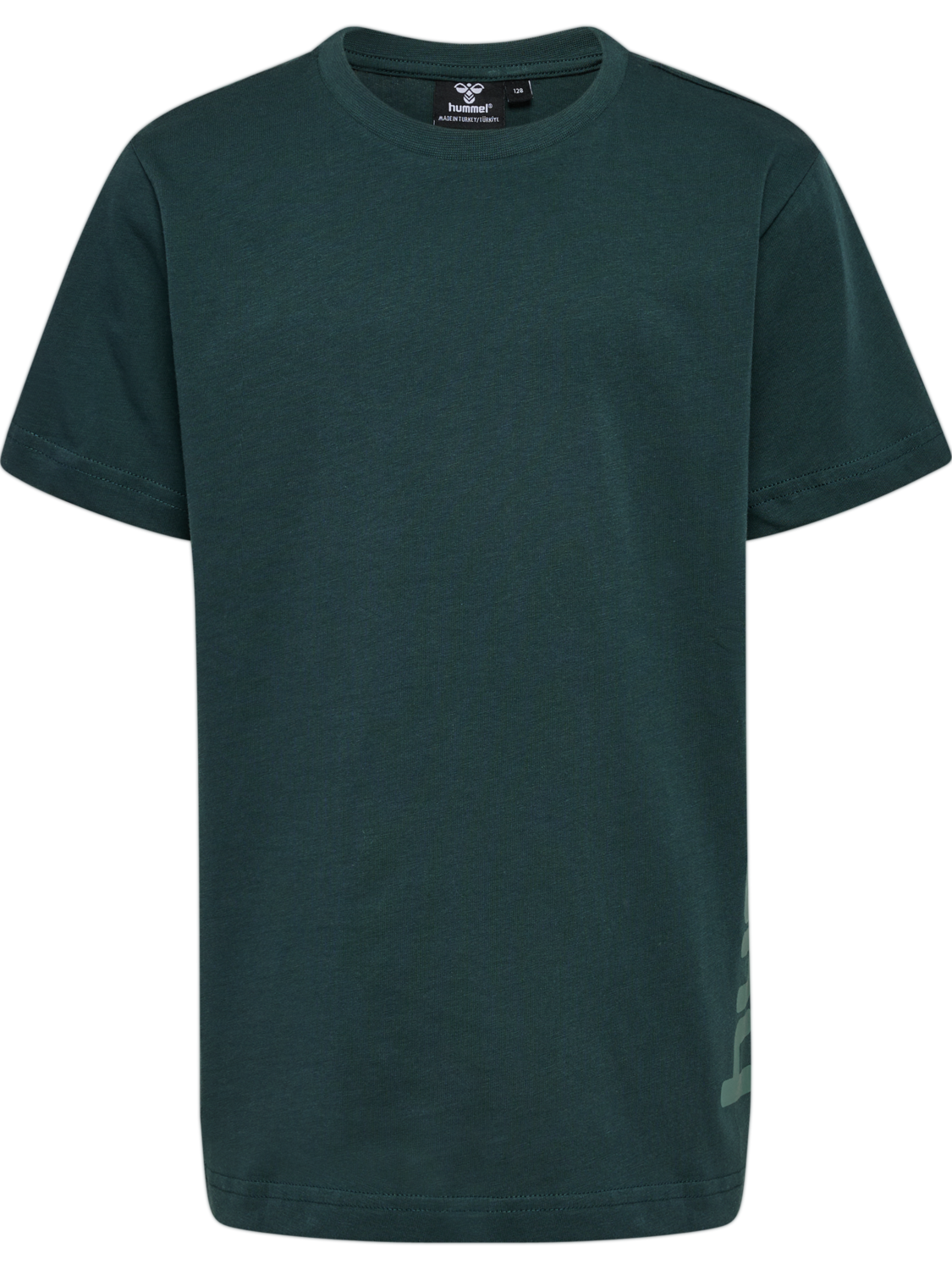hmlPRINT T-SHIRT S/S, GREEN GABLES, packshot