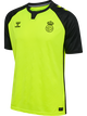 SAFETY YELLOW