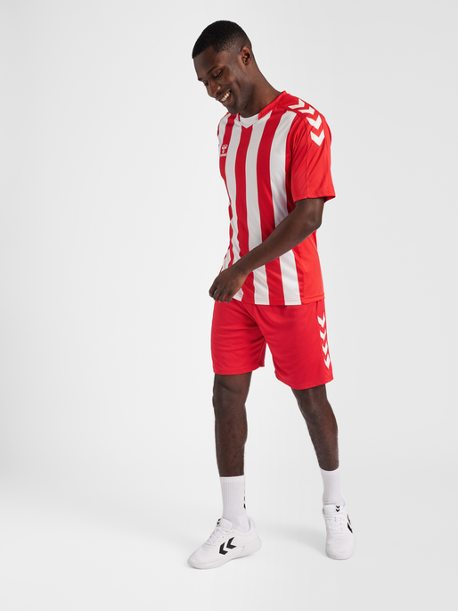 hmlCORE XK STRIPED JERSEY S/S, TRUE RED/WHITE, model