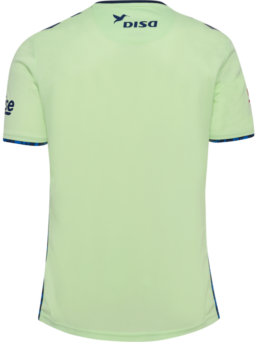 UDLP 24/25 COMMUNITY JERSEY SS, PATINA GREEN, packshot
