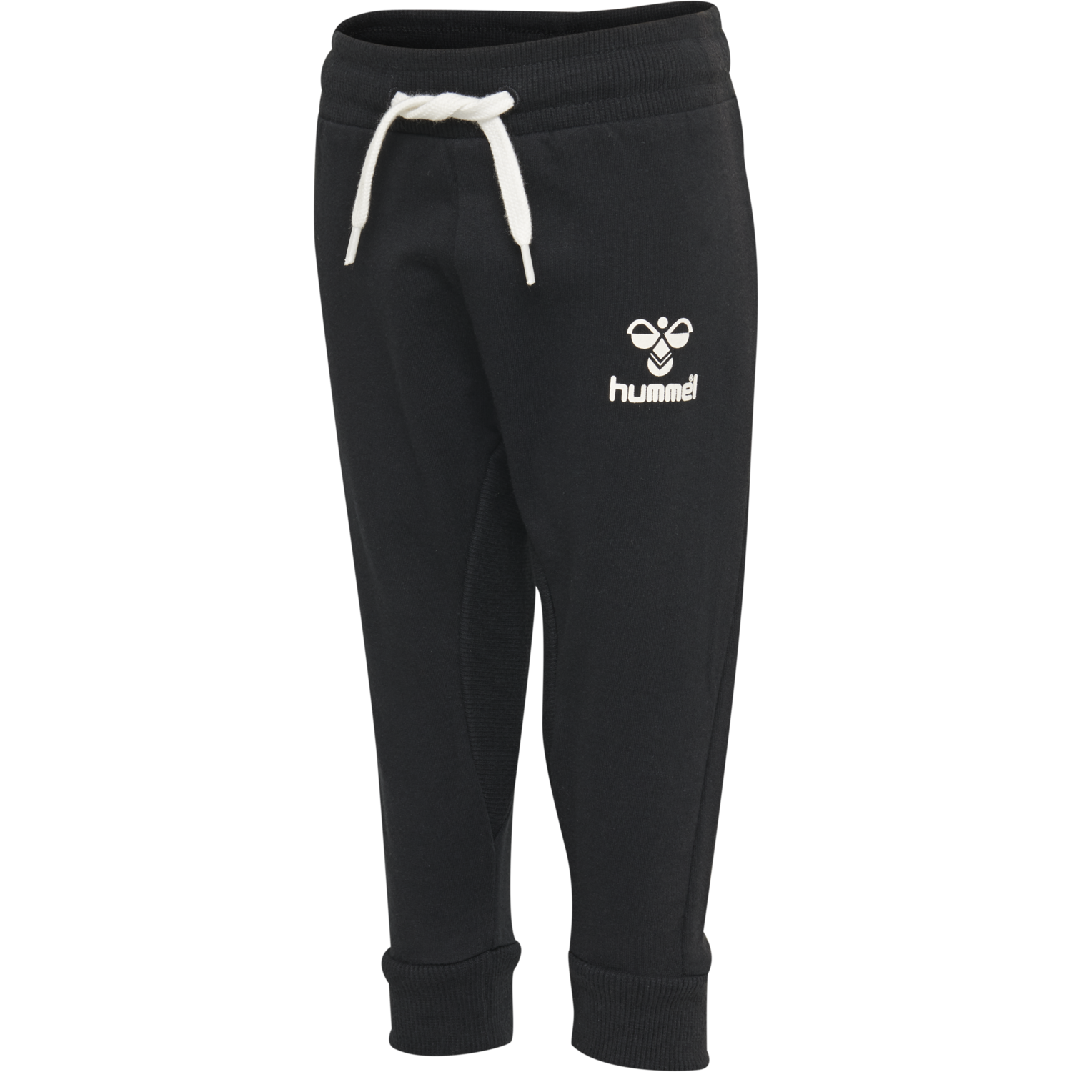 hmlAPPLE PANTS, BLACK, packshot