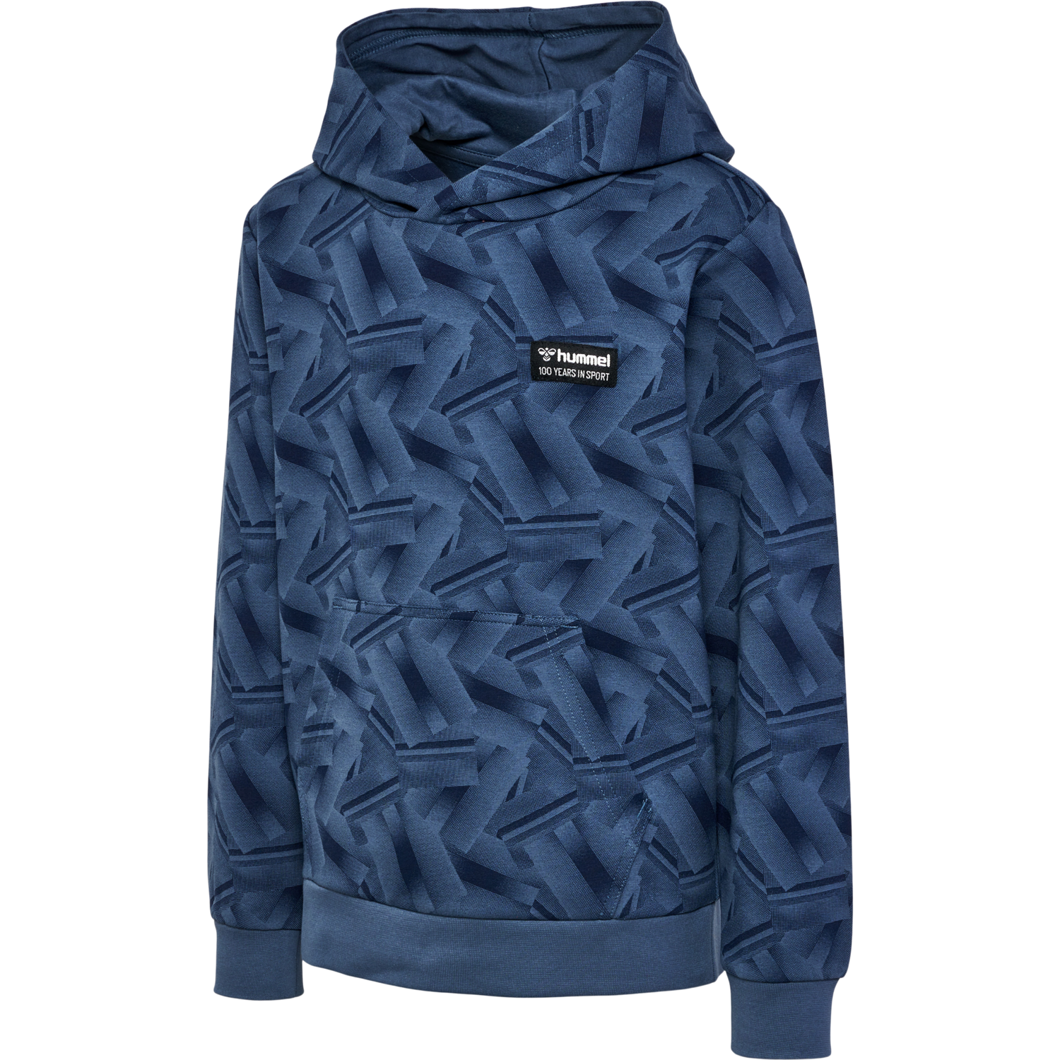 hmlRICHARDO HOODIE, 7050, packshot