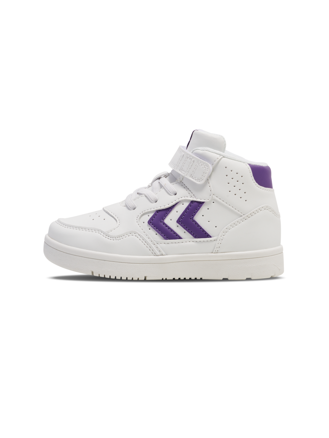 CAMDEN HIGH JR, PANSY, packshot