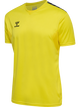 BLAZING YELLOW