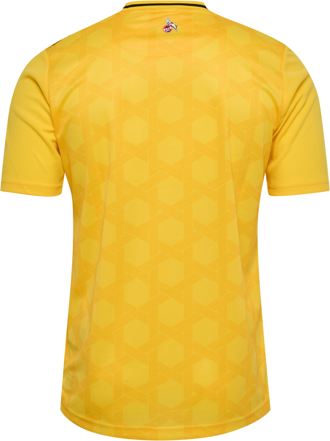 1FCK 23/24 GK JERSEY S/S, DANDELION, packshot