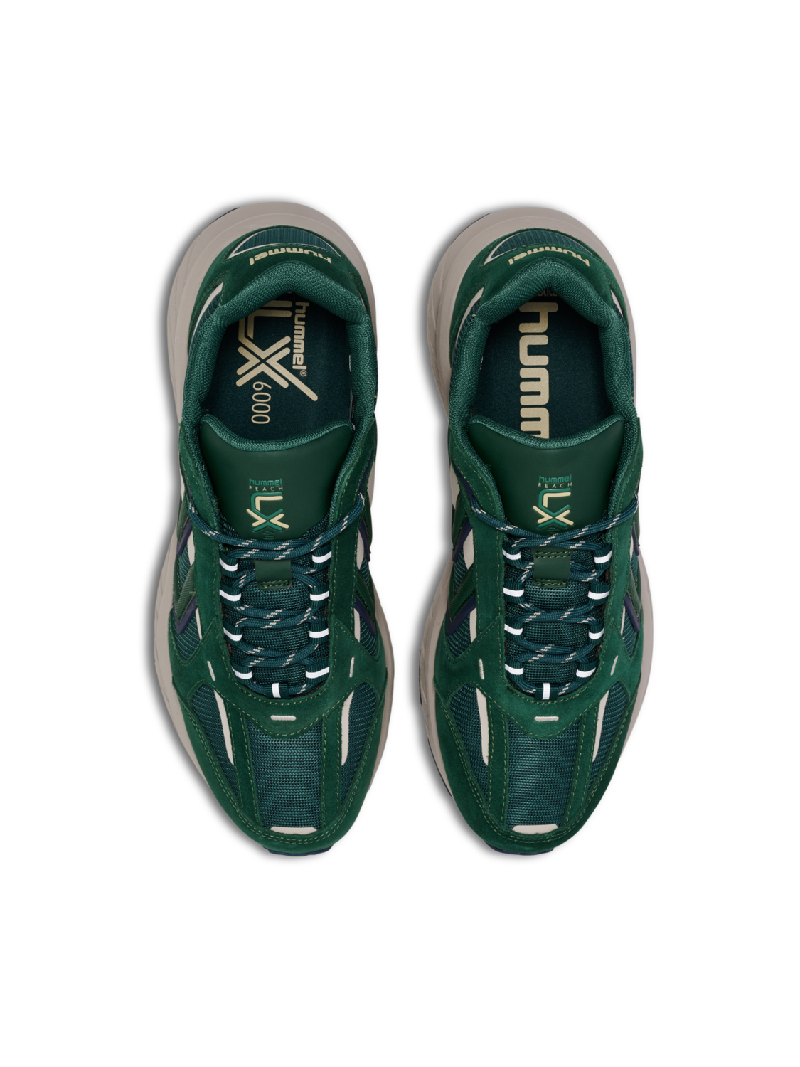 REACH LX 6000 MS, RAIN FOREST, packshot