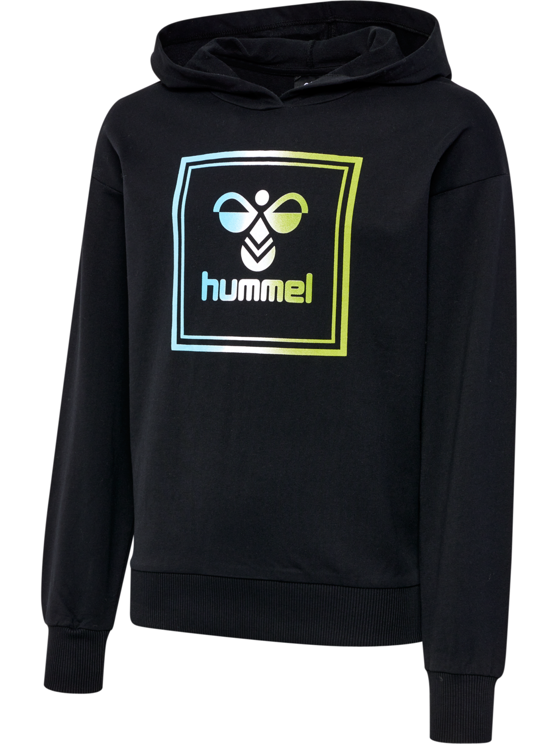 HMLLEIDEN HOODIE, BLACK IRIS/OIL BLUE, packshot