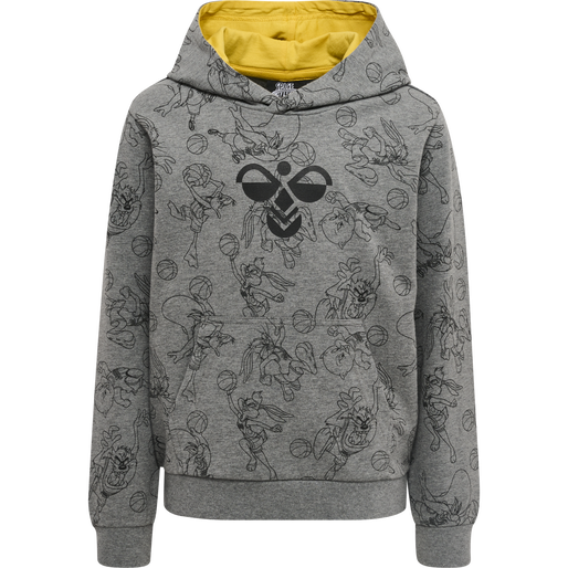 hmlSPACE JAM CUATRO HOODIE, MEDIUM MELANGE, packshot