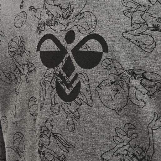 hmlSPACE JAM CUATRO HOODIE, MEDIUM MELANGE, packshot