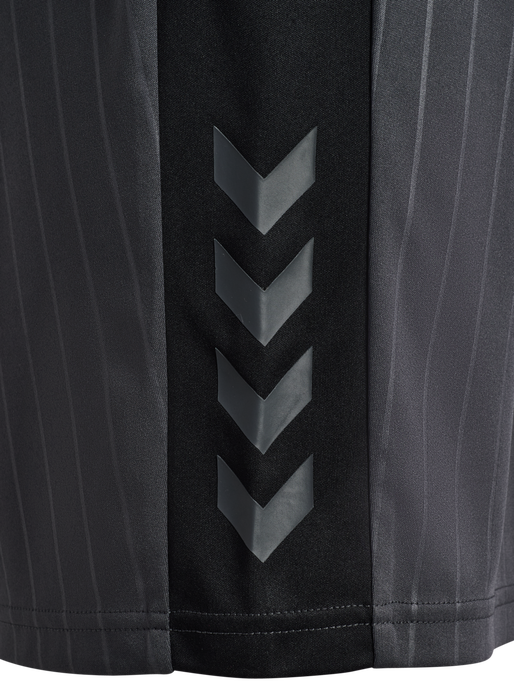 hmlPULSE STRIPE BLOCKED SHORTS, EBONY/BLACK, packshot