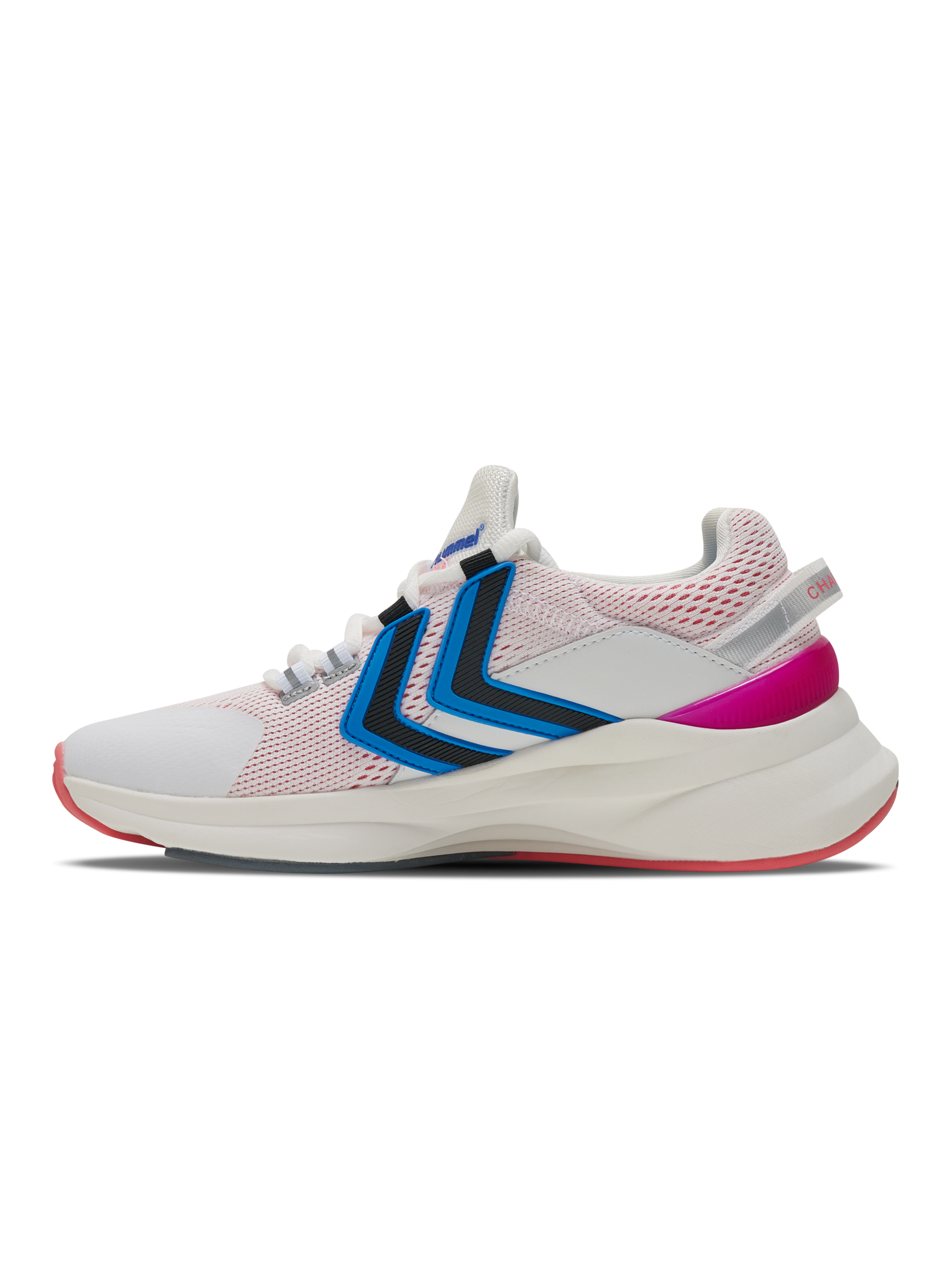 REACH LX 300, 4039, packshot