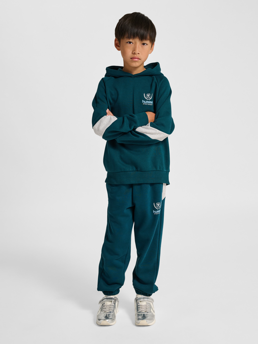 hmlJR LOOSE HOODIE BTS, REFLECTING POND, model