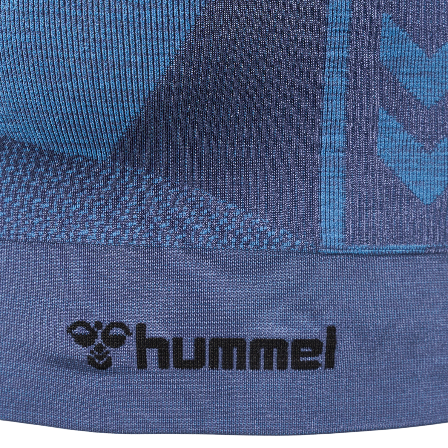 hmlCLEA SEAMLESS  SPORTS TOP, RIVIERA/INSIGNIA BLUE MELANGE, packshot