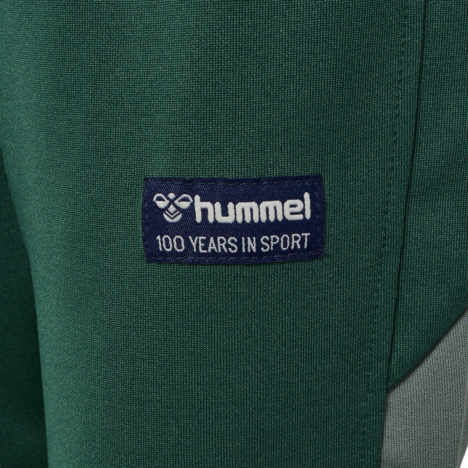 hmlRUPHUS PANTS, PINENEEDLE, packshot