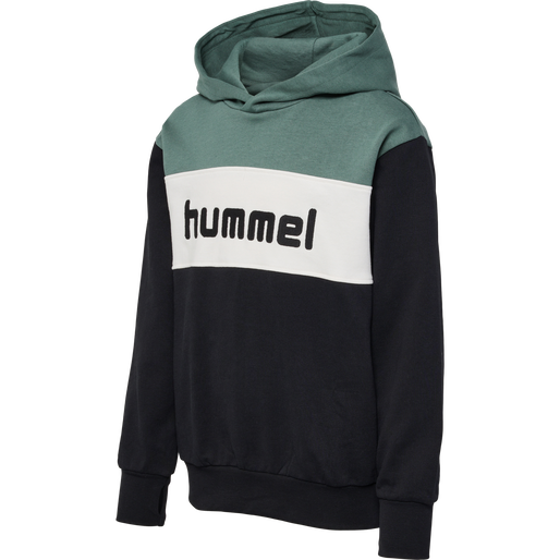 hmlMORTEN HOODIE, 6575, packshot