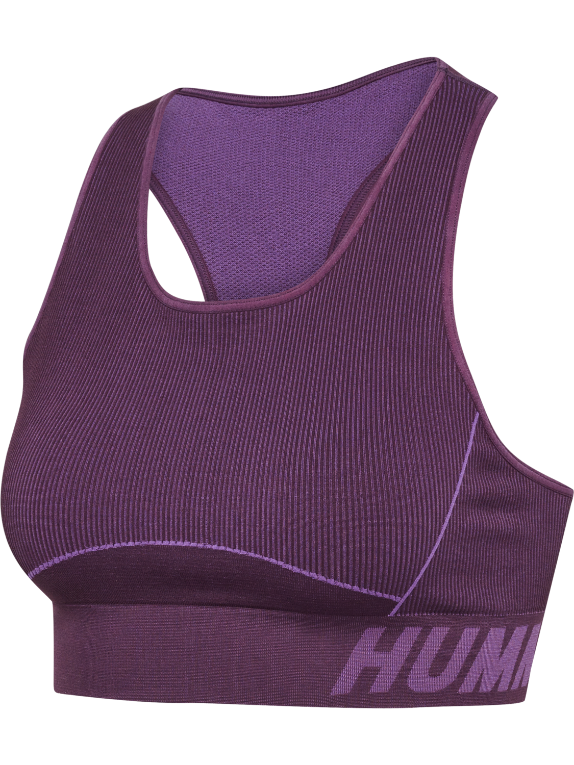 hmlTE CHRISTEL SEAMLESS SPORTS TOP, PLUM PERFECT/BELLFLOWER MELAN, packshot