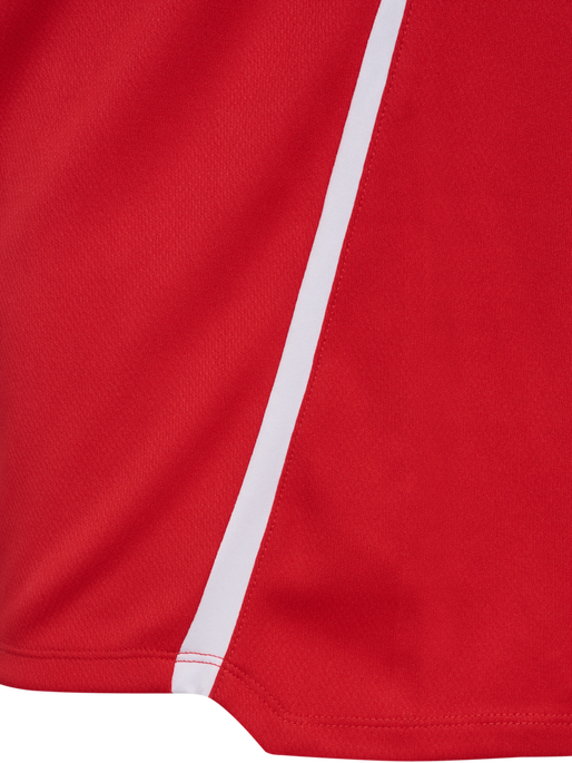 hmlLEAD 2.0 HALF ZIP, TRUE RED/MAROON hmlLEAD 2.0 HALF ZIP, TRUE RED/MAROON, packshot