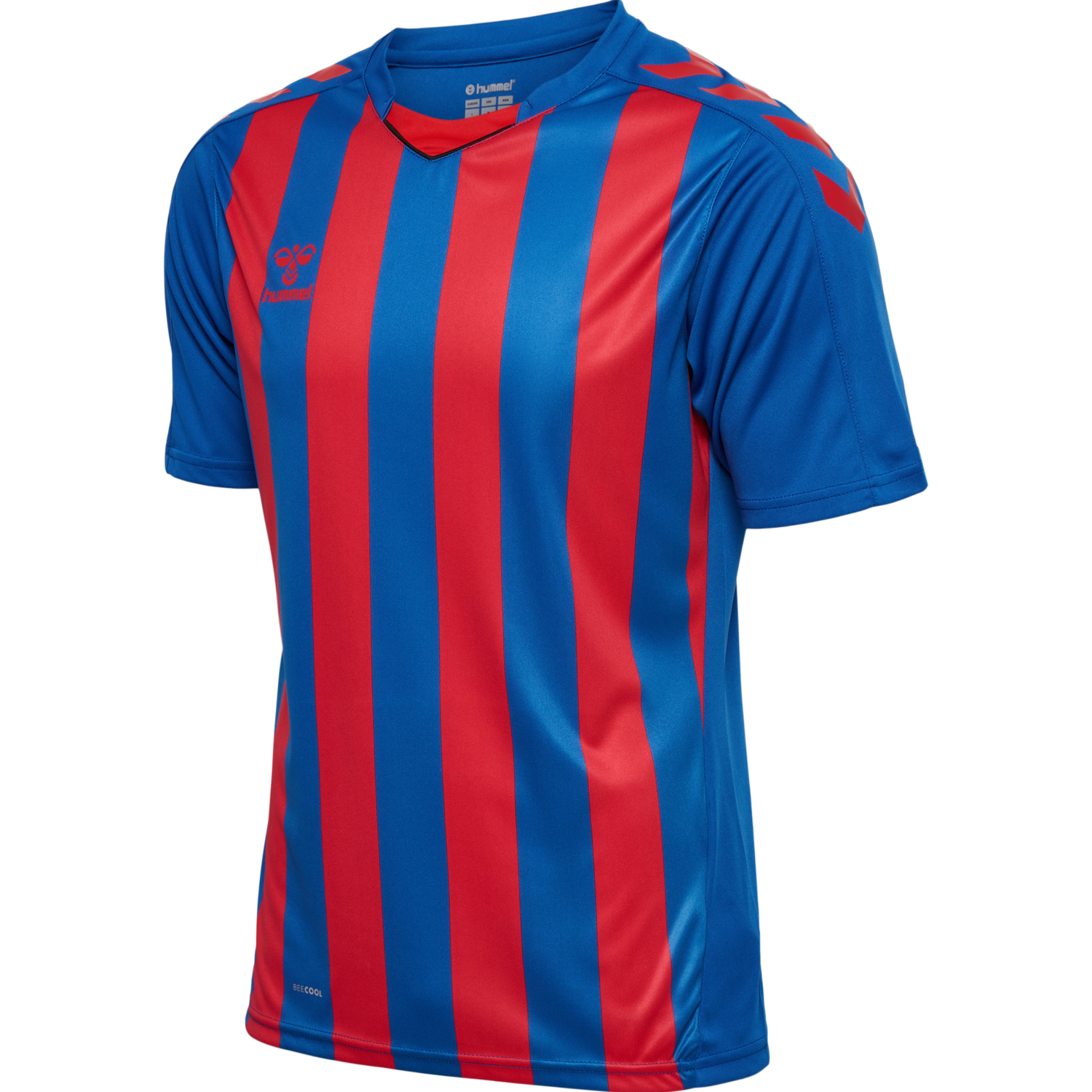 hmlCORE XK STRIPED JERSEY S/S, TRUE BLUE/TRUE RED, packshot