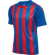 TRUE BLUE/TRUE RED