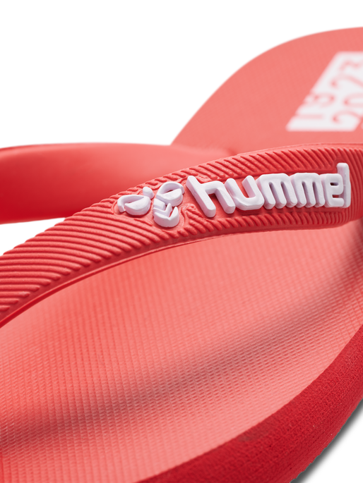 FLIP FLOP JR, BITTERSWEET, packshot