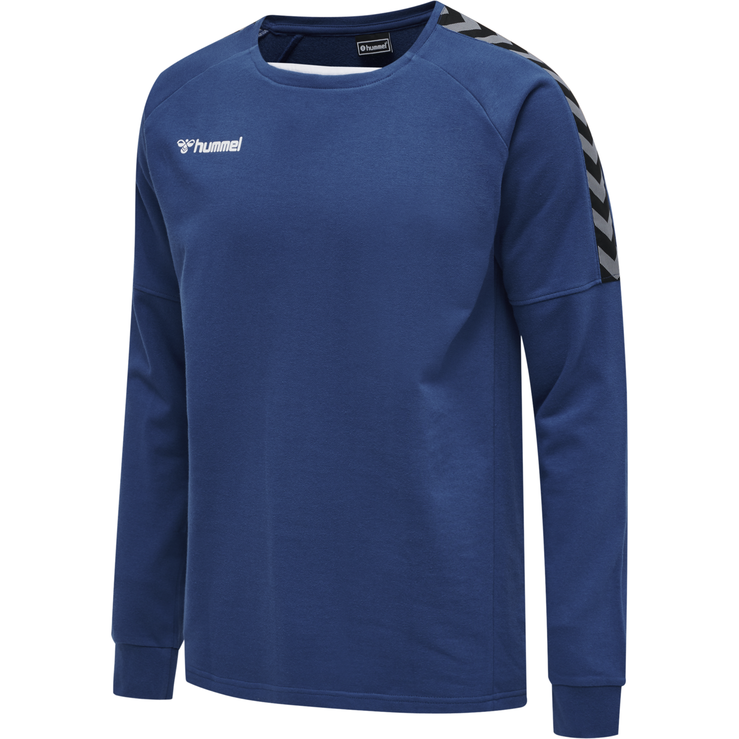 hmlAUTHENTIC TRAINING SWEAT, TRUE BLUE, packshot