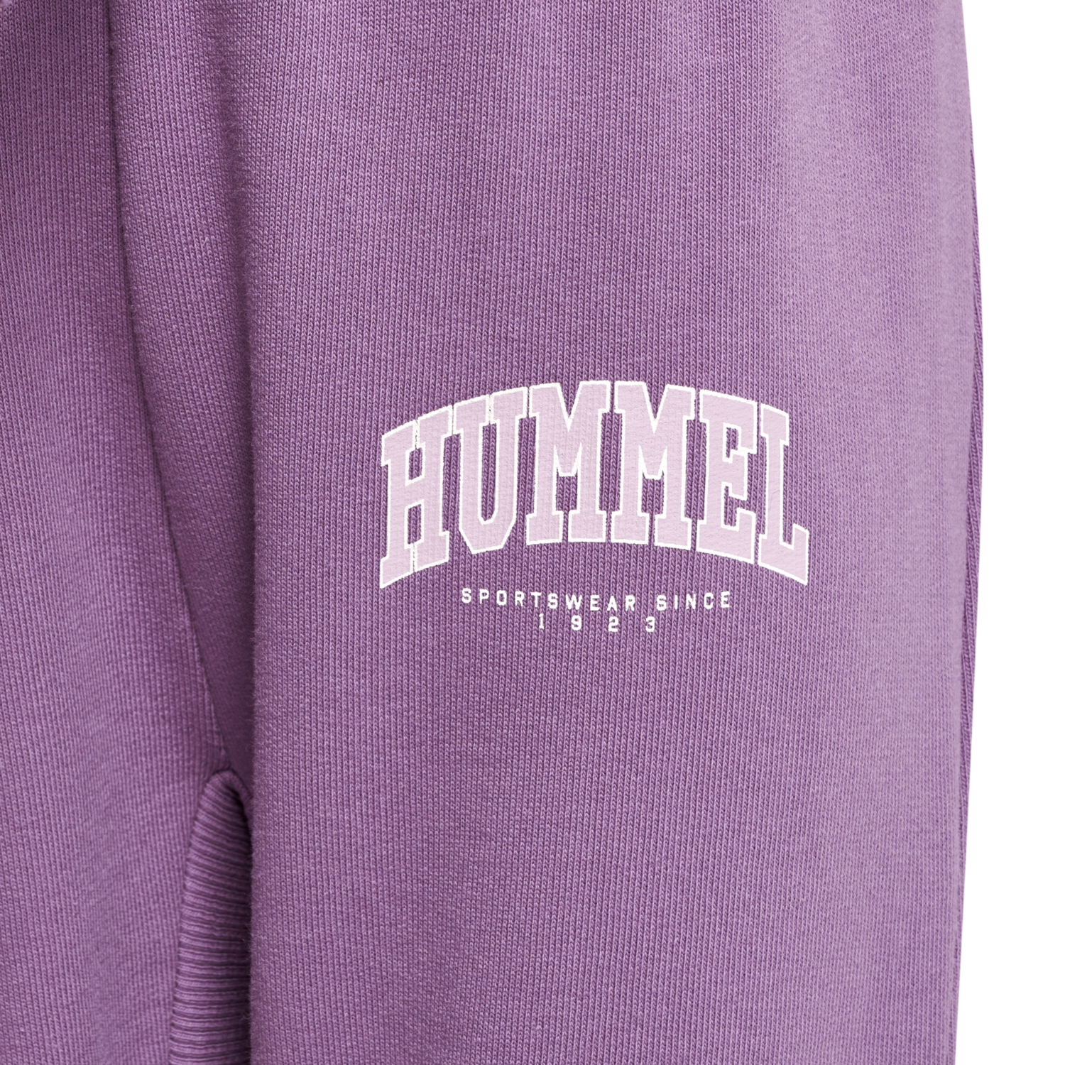 hmlFAST APPLE PANTS, ARGYLE PURPLE, packshot