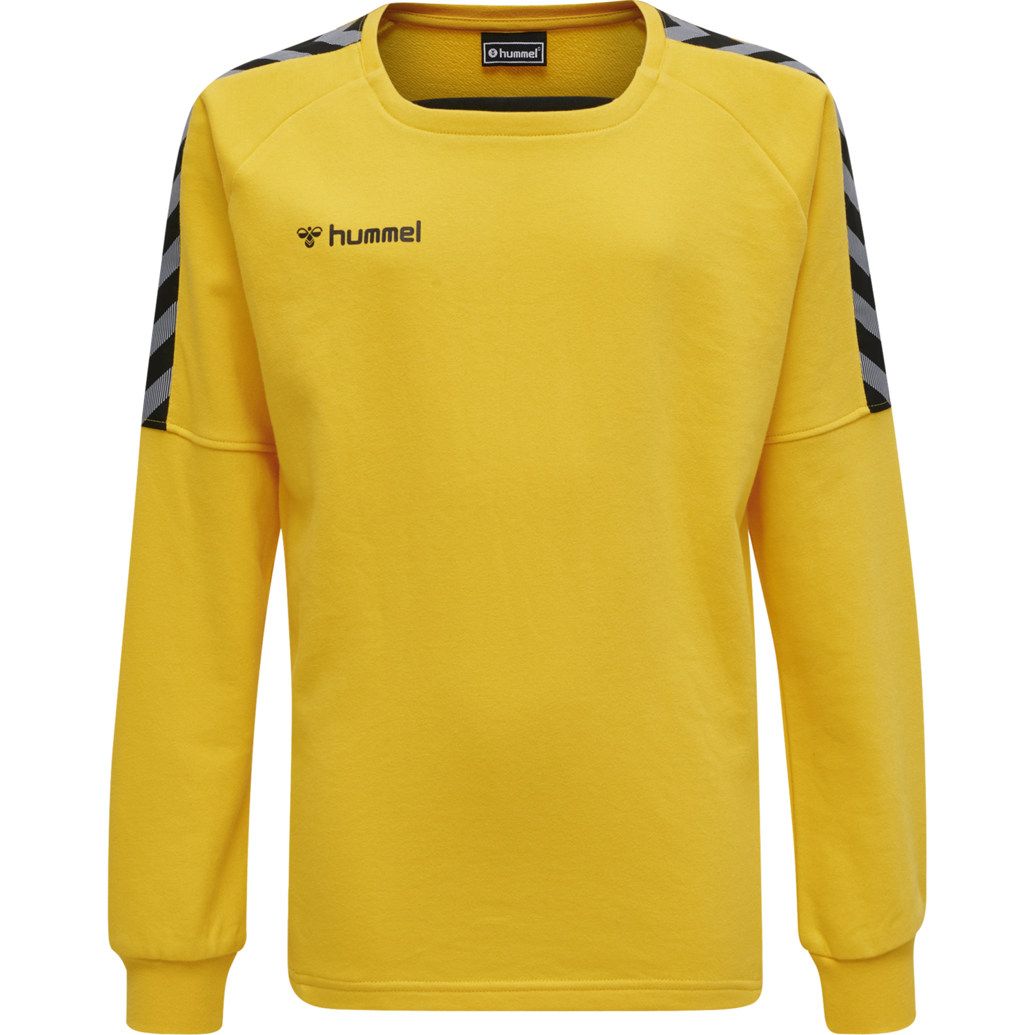 hmlAUTHENTIC KIDS TRAINING SWEAT, SPORTS YELLOW, packshot